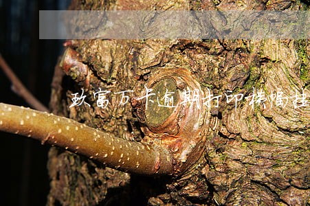 玖富万卡逾期打印横幅挂社区 玖富万卡逾期打印横幅挂社区