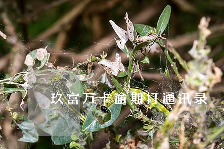 玖富万卡逾期打通讯录 玖富万卡逾期打通讯录