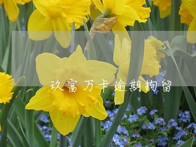 玖富万卡逾期拘留 玖富万卡逾期拘留