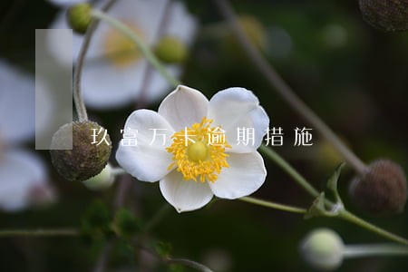 玖富万卡逾期措施 玖富万卡逾期措施