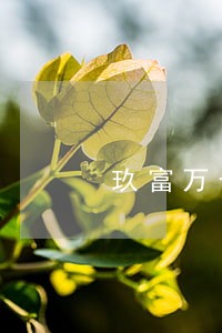 玖富万卡逾期收款 玖富万卡逾期收款