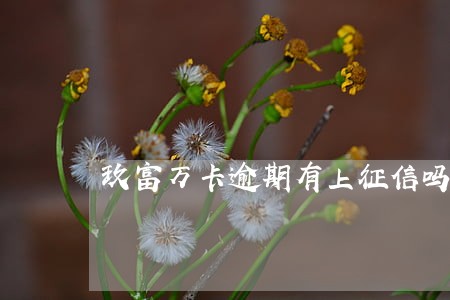 玖富万卡逾期有上征信吗 玖富万卡逾期有上征信吗