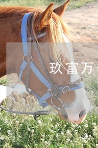 玖富万卡逾期期限 玖富万卡逾期期限