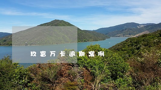 玖富万卡逾期案例