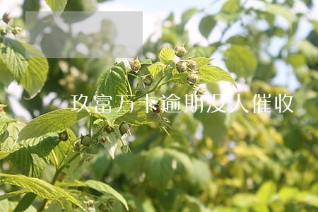 玖富万卡逾期没人催收 玖富万卡逾期没人催收
