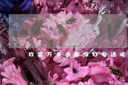 玖富万卡逾期没打电话呢