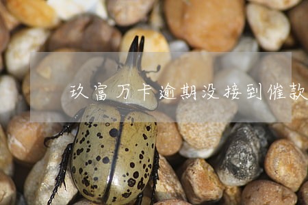 玖富万卡逾期没接到催款 玖富万卡逾期没接到催款