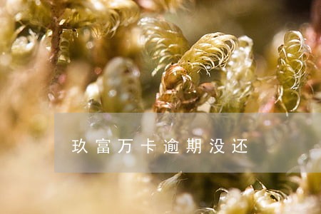 玖富万卡逾期没还 玖富万卡逾期没还