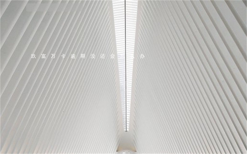 玖富万卡逾期没还会怎么办 玖富万卡逾期没还会怎么办