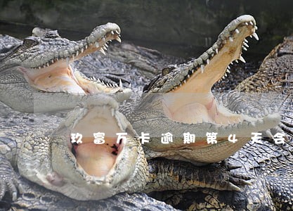 玖富万卡逾期第4天会上征信吗 玖富万卡逾期第4天会上征信吗