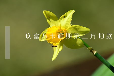 玖富万卡逾期第三方扣款 玖富万卡逾期第三方扣款