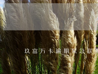 玖富万卡逾期紧急联系人失效 玖富万卡逾期紧急联系人失效
