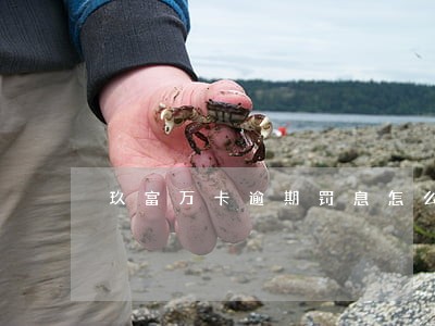 玖富万卡逾期罚息怎么算的 玖富万卡逾期罚息怎么算的