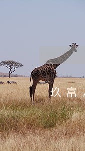 玖富万卡逾期罚息这么高 玖富万卡逾期罚息这么高