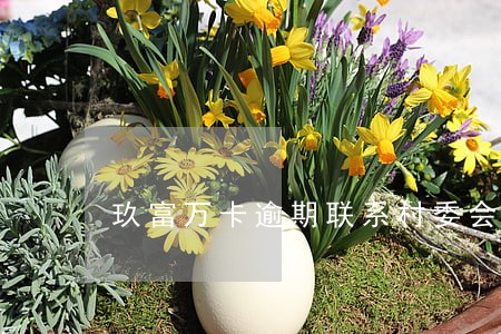 玖富万卡逾期联系村委会 玖富万卡逾期联系村委会