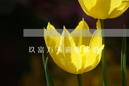 玖富万卡逾期能借 玖富万卡逾期能借