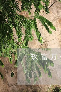 玖富万卡逾期能减免吗