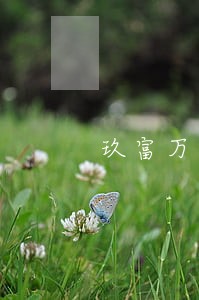 玖富万卡逾期芝麻信用 玖富万卡逾期芝麻信用