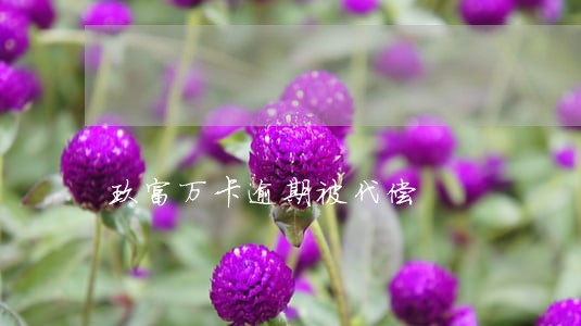 玖富万卡逾期被代偿 玖富万卡逾期被代偿