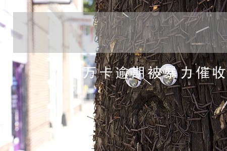 玖富万卡逾期被暴力催收 玖富万卡逾期被暴力催收
