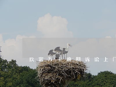 玖富万卡逾期诉讼上门取证 玖富万卡逾期诉讼上门取证