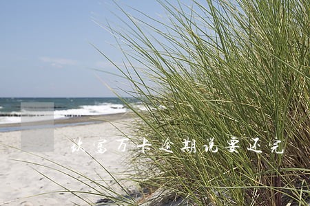 玖富万卡逾期说要还完