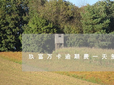 玖富万卡逾期费一天多钱 玖富万卡逾期费一天多钱