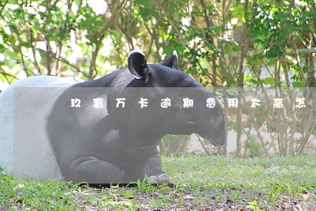 玖富万卡逾期费用太高怎么办 玖富万卡逾期费用太高怎么办