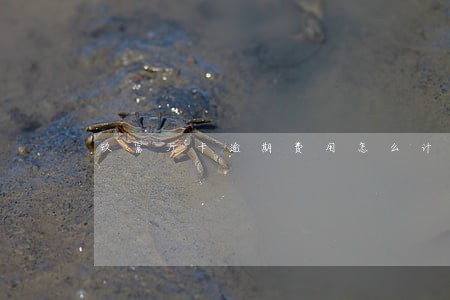 玖富万卡逾期费用怎么计算的 玖富万卡逾期费用怎么计算的