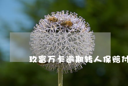 玖富万卡逾期转人保赔付 玖富万卡逾期转人保赔付