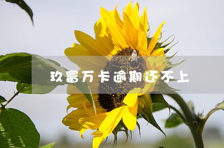 玖富万卡逾期还不上 玖富万卡逾期还不上