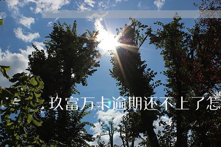 玖富万卡逾期还不上了怎么办 玖富万卡逾期还不上了怎么办