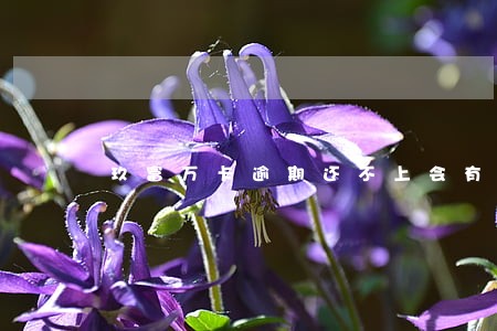 玖富万卡逾期还不上会有什么后果 玖富万卡逾期还不上会有什么后果