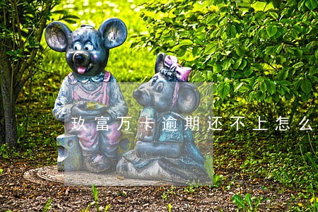 玖富万卡逾期还不上怎么办 玖富万卡逾期还不上怎么办