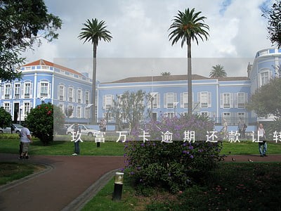 玖富万卡逾期还款让转公户