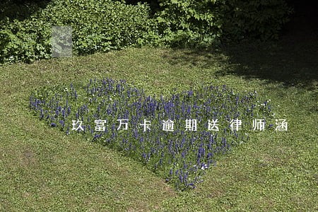 玖富万卡逾期送律师涵