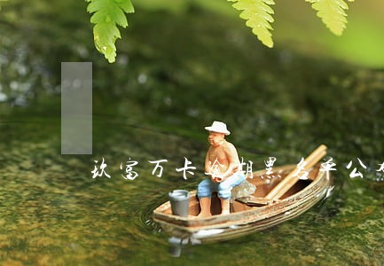 玖富万卡逾期黑名单公布