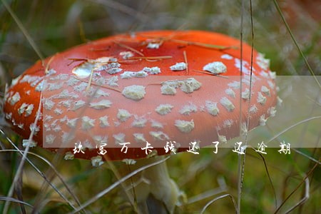 玖富万卡钱还了还逾期 玖富万卡钱还了还逾期
