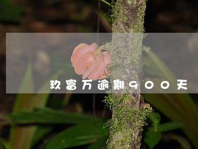 玖富万逾期900天 玖富万逾期900天