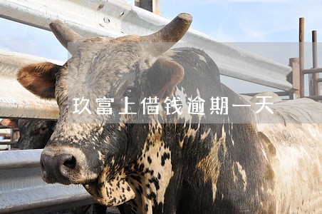 玖富上借钱逾期一天