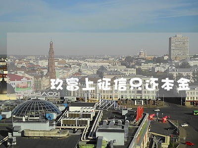 玖富上征信只还本金 玖富上征信只还本金