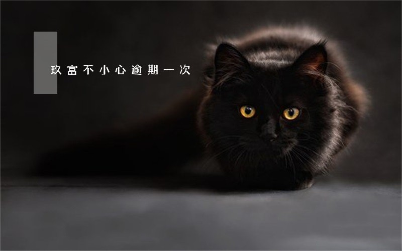 玖富不小心逾期一次