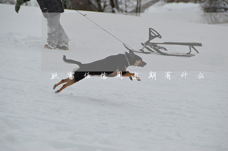玖富任信用逾期有什么 玖富任信用逾期有什么