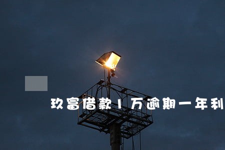玖富借款1万逾期一年利息2万 玖富借款1万逾期一年利息2万