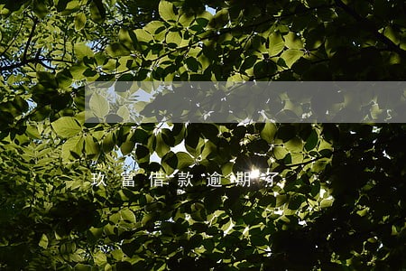 玖富借款逾期了 玖富借款逾期了