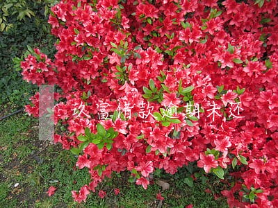 玖富借款逾期未还 玖富借款逾期未还