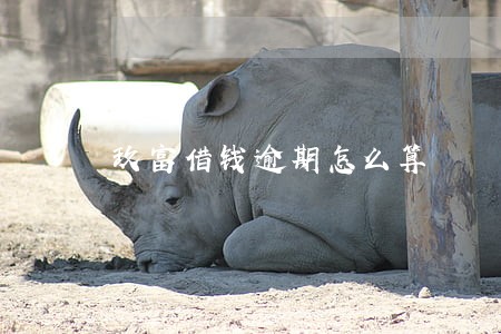 玖富借钱逾期怎么算 玖富借钱逾期怎么算