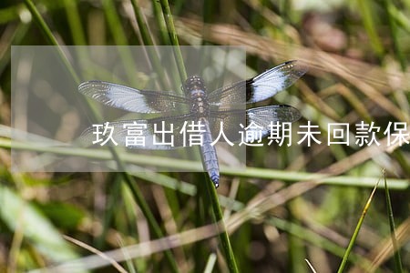 玖富出借人逾期未回款保险代偿吗 玖富出借人逾期未回款保险代偿吗