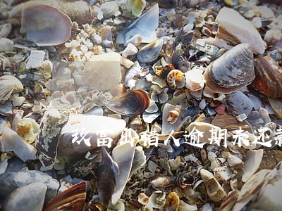 玖富出借人逾期未还款保险代偿吗 玖富出借人逾期未还款保险代偿吗