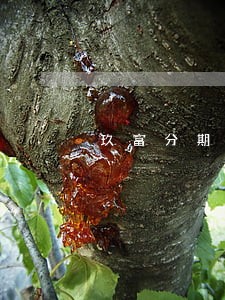 玖富分期go逾期垮了吗 玖富分期go逾期垮了吗